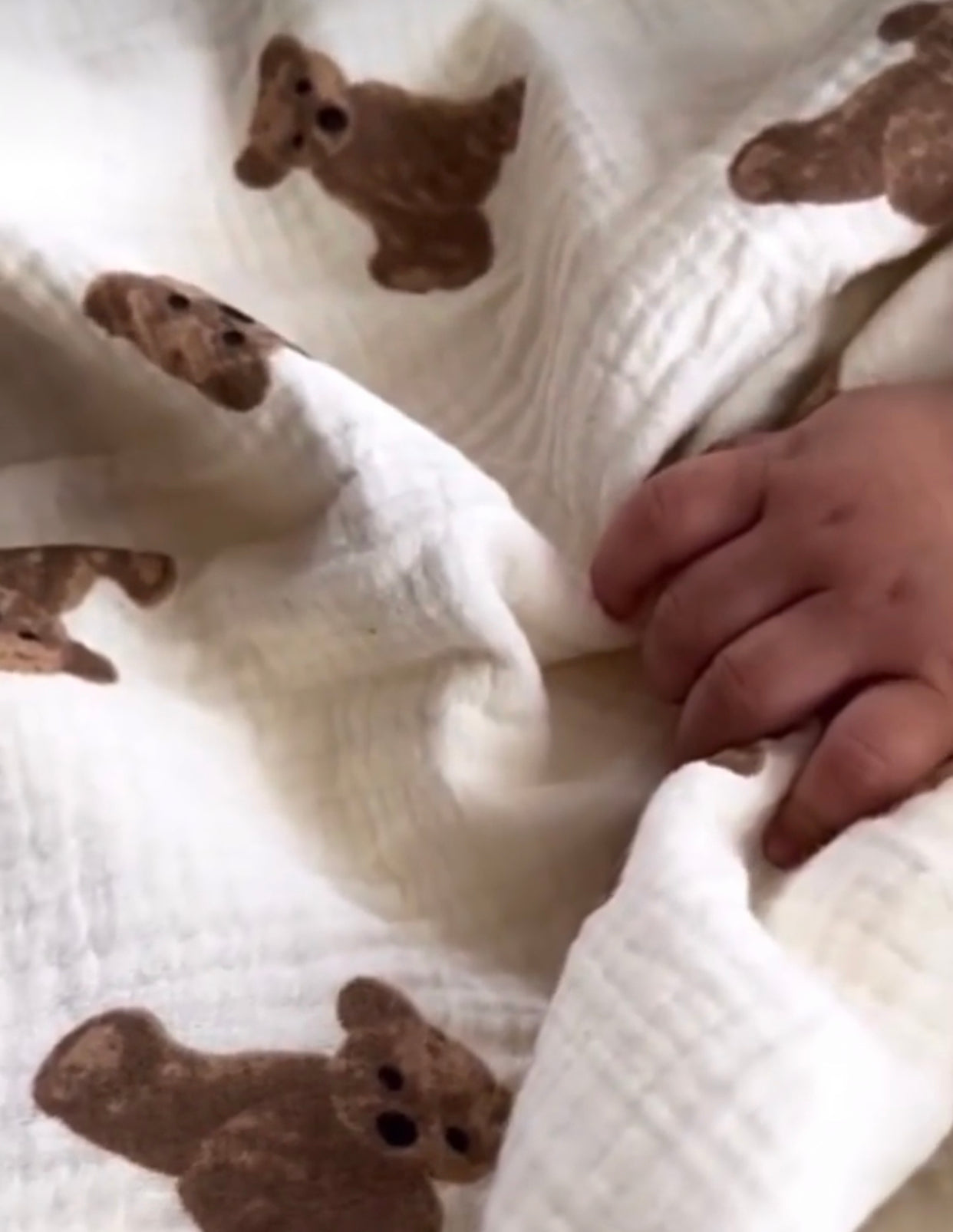 Teddy deken (pre order)